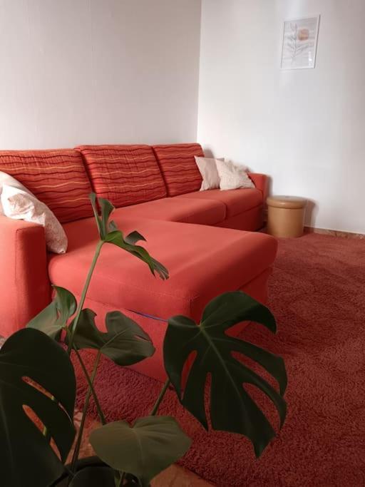 Forti Genova-Free Parking Castellaccio Apartment Ngoại thất bức ảnh